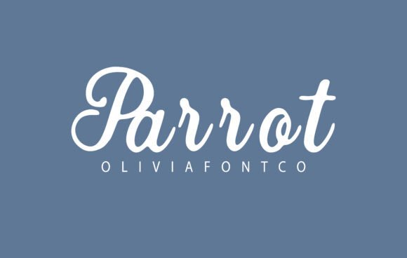 Parrot Font Gave My Small Brand a Warm, Handwritten Identity