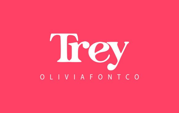 Trey Font Review: A Handwritten Script for Campaign Design