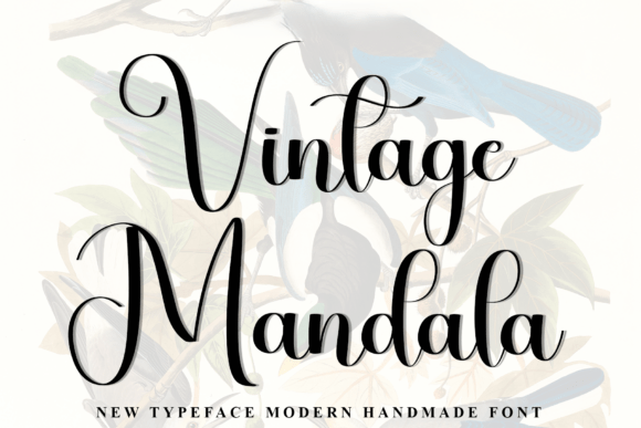 Vintage Mandala: A Script Font for Thoughtful Editorial Design